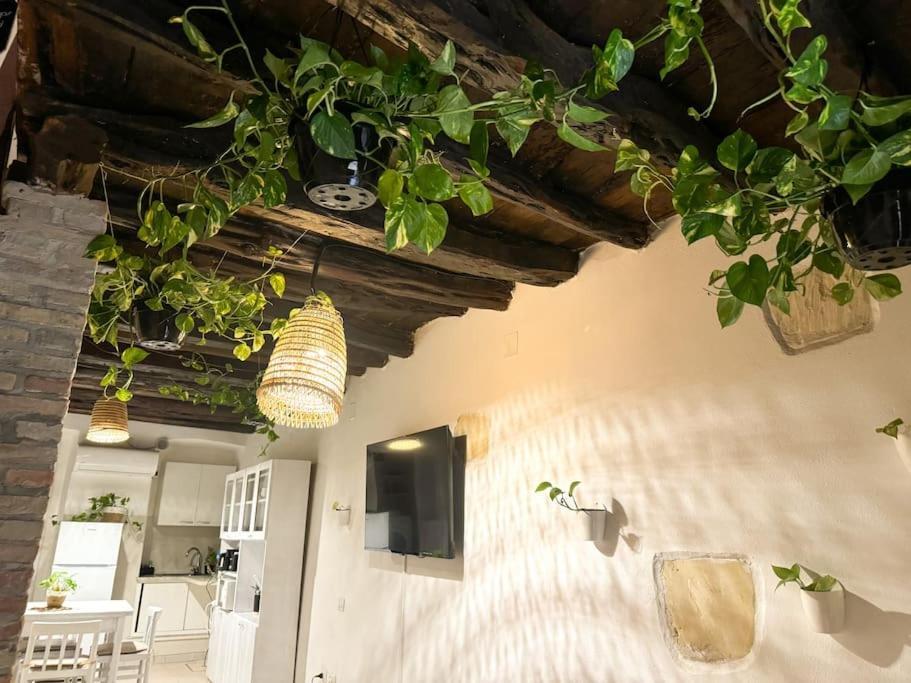 Kalma - At The Picturesque Via Stretta Holiday home