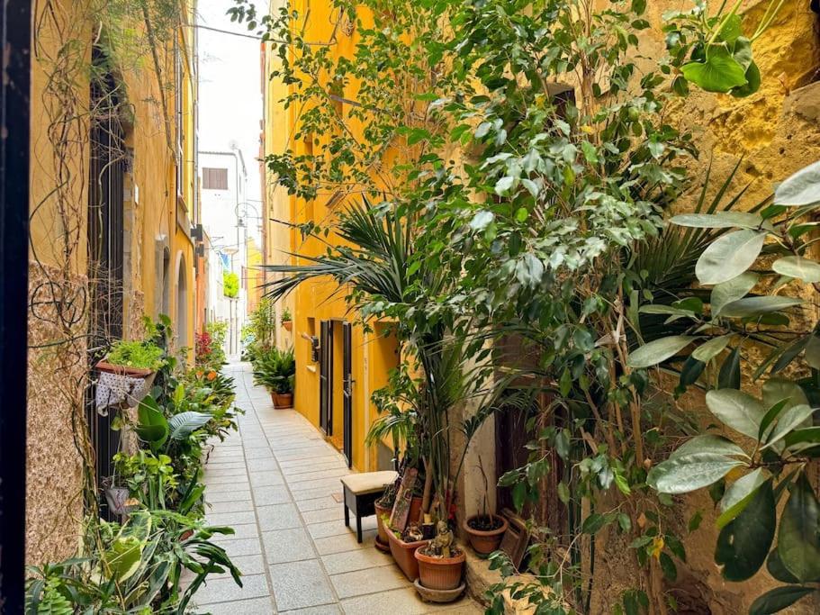 Kalma - At The Picturesque Via Stretta Holiday home *